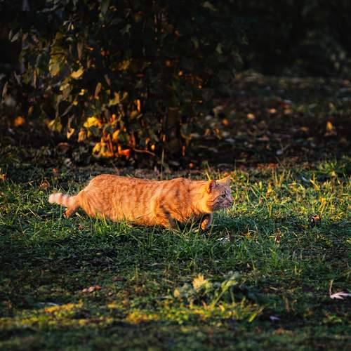 Photo #12805864