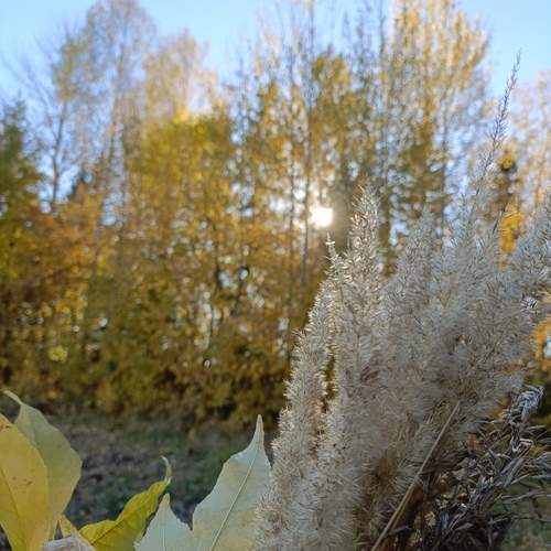 Photo #12805866
