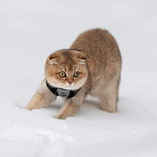 Фотография #12805896