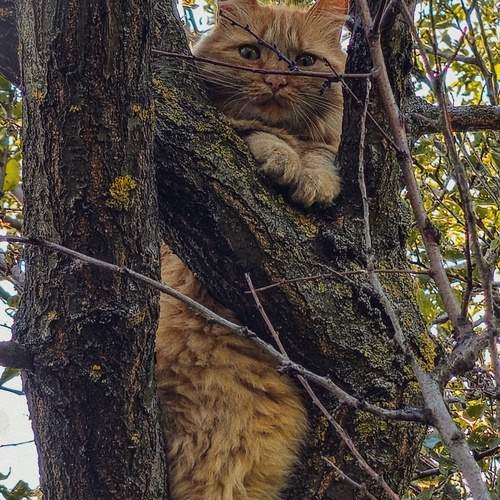 Photo #12806039