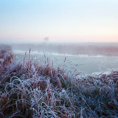 Photo #12806133