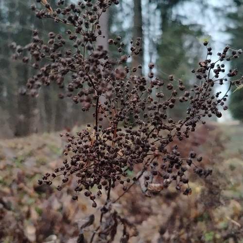 Photo #12806206