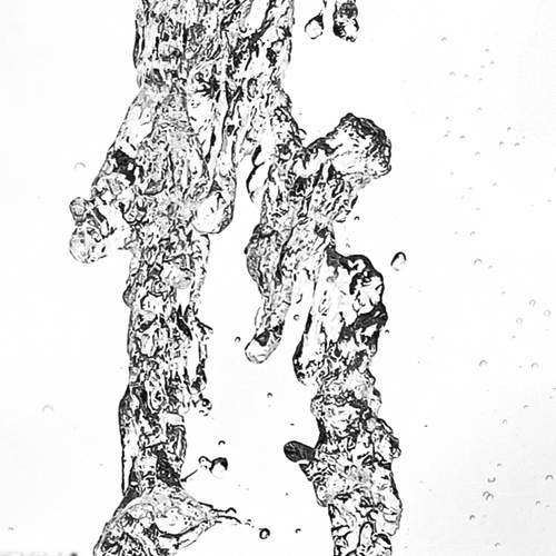Photo #12806443