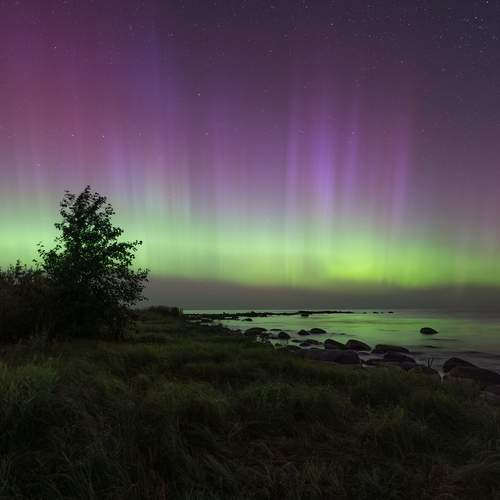 Photo #12806760