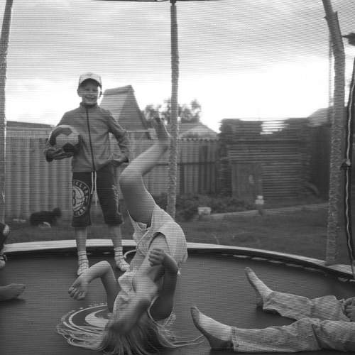 Photo #12806818
