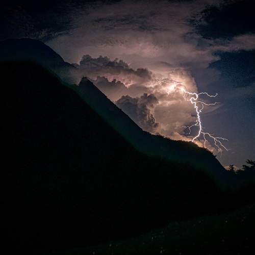 Photo #12806863