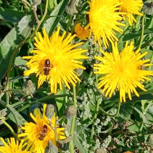 Photo #12806907