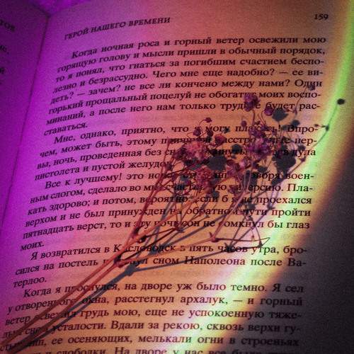 Photo #12807106