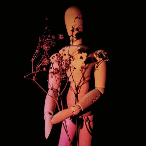 Photo #12807121