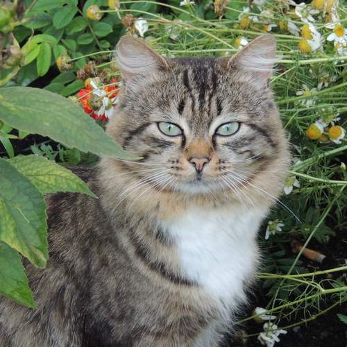 Photo #12807142
