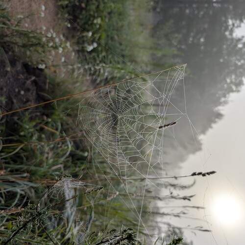 Photo #12807189
