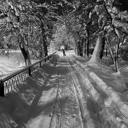 Фотография #12807274