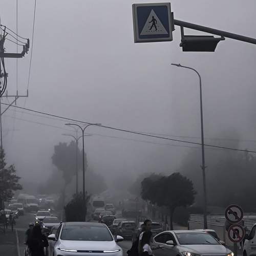 Photo #12807417
