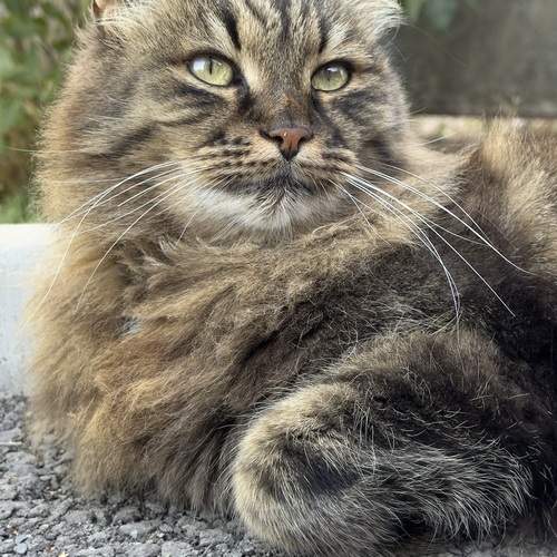 Photo #12807606