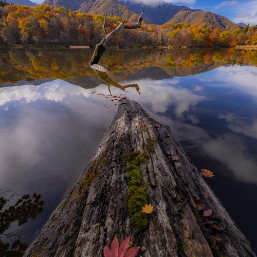 Фотография #12807645