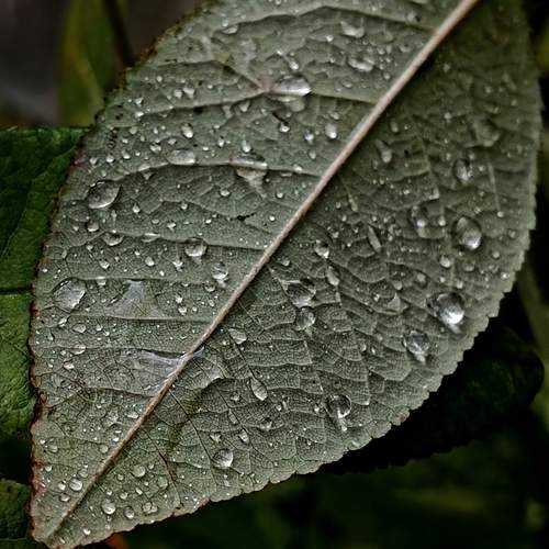 Photo #12807698