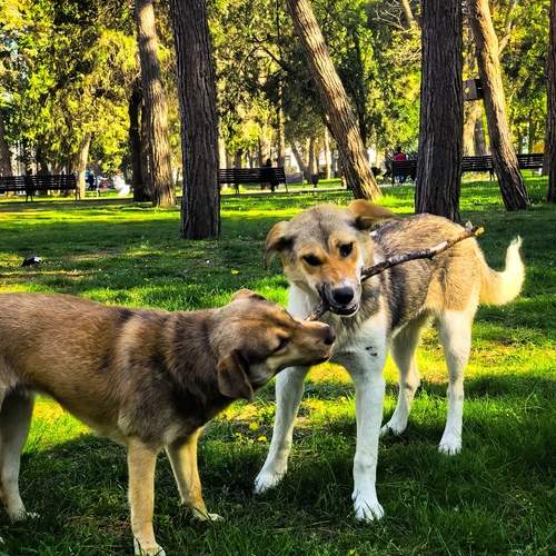 Photo #12807809