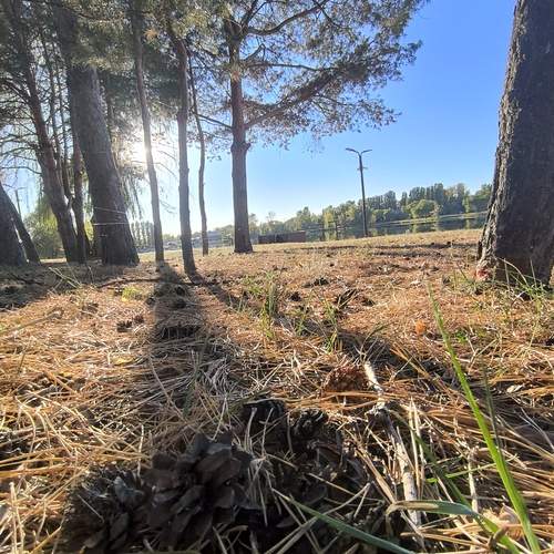 Photo #12807824