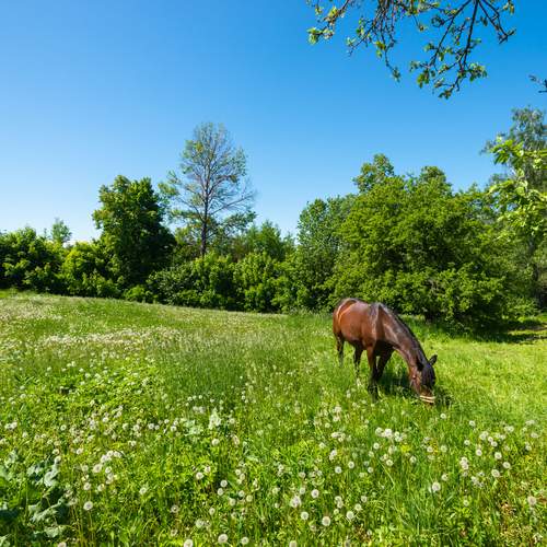 Фотография #12807925