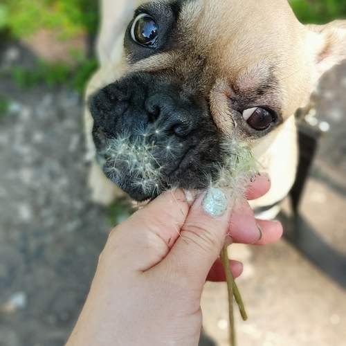 Photo #12807968