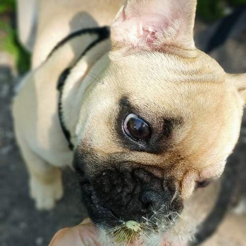 Photo #12807969
