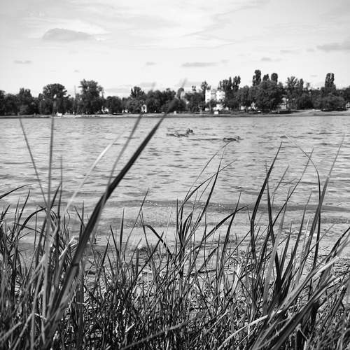 Photo #12808000