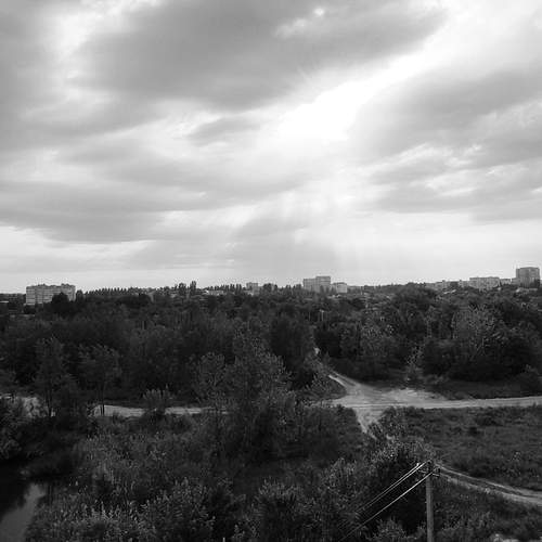 Photo #12808002