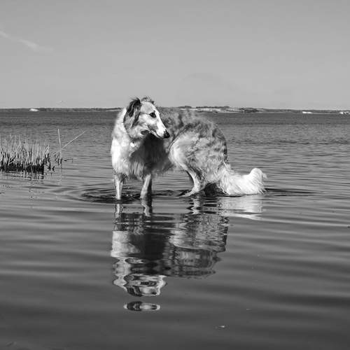 Photo #12808251