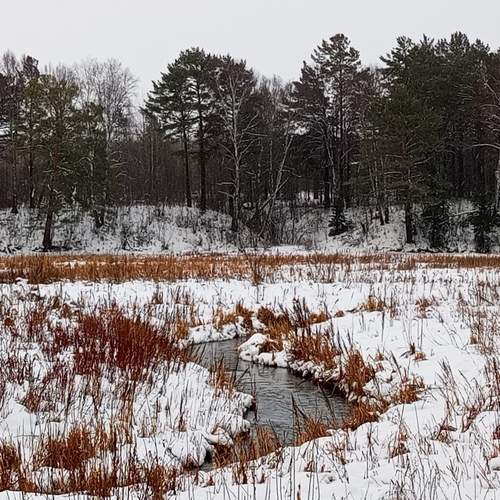 Photo #12808364