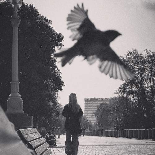 Photo #12808366