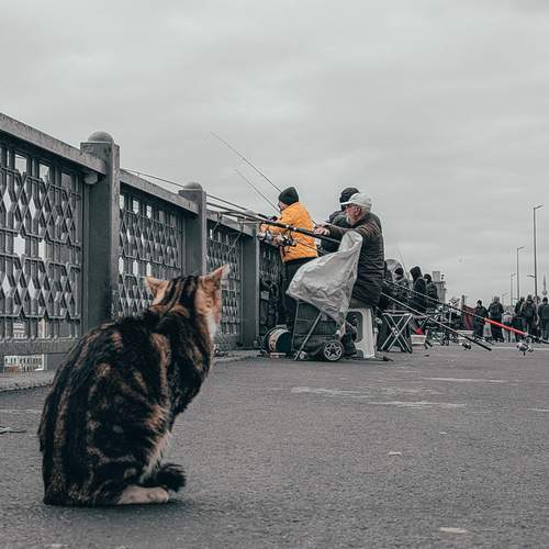 Photo #12808382