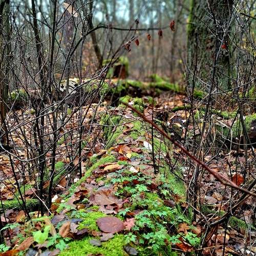 Photo #12808565