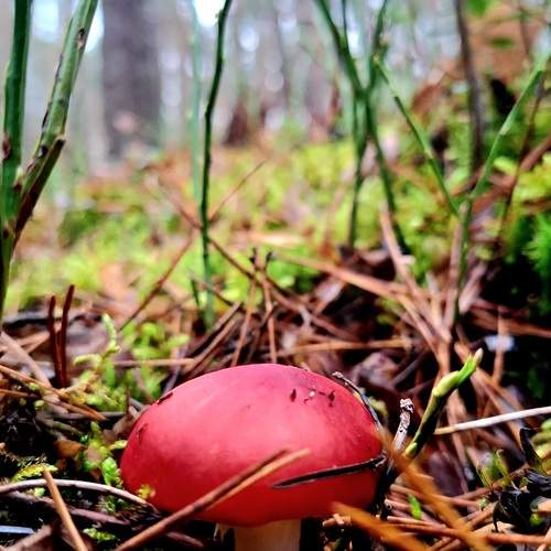 Photo #12808568
