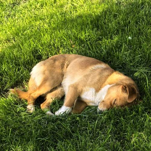Photo #12808929