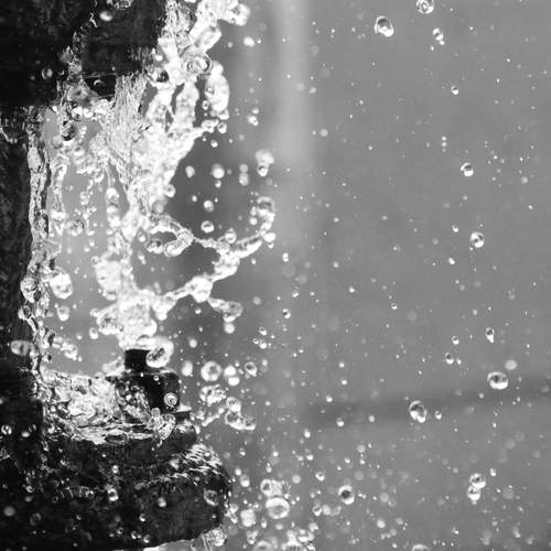 Photo #12809028