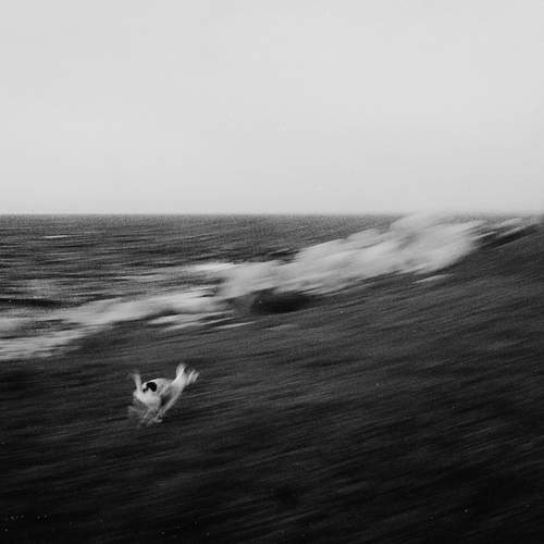 Photo #12809175