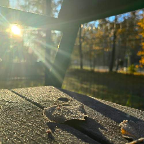 Первая изморозь