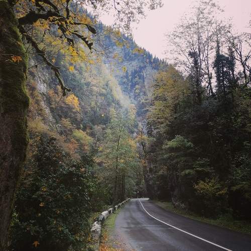 Photo #12809789