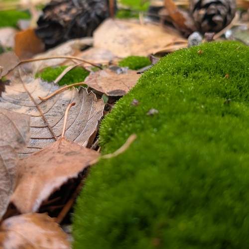 Photo #12809797