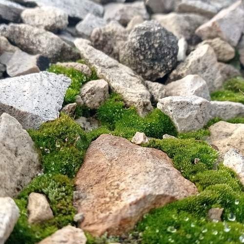 Photo #12809817