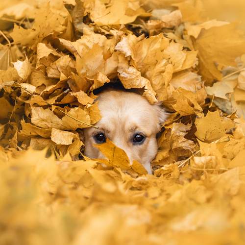 Фотография #12809911