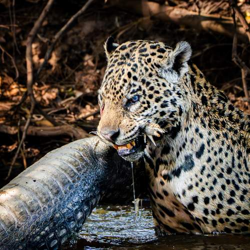 Фотография #12809948