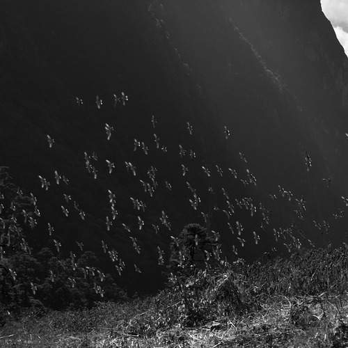 Photo #12809959