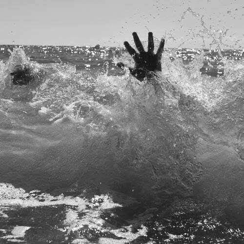 Photo #12809966