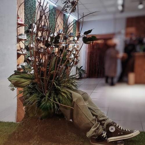 Photo #12810253