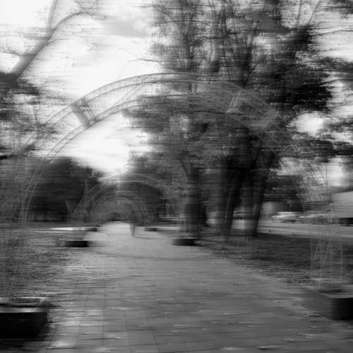 Фотография #12810259