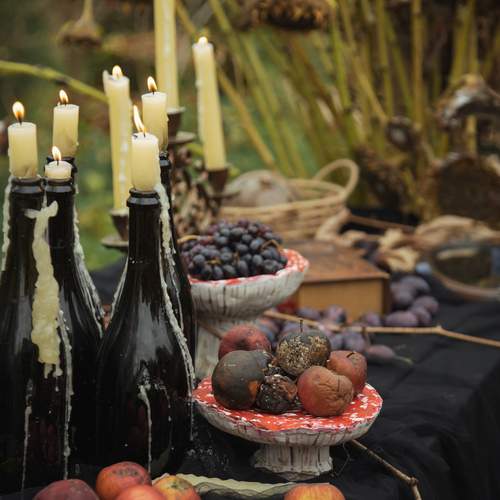 Photo #12810470