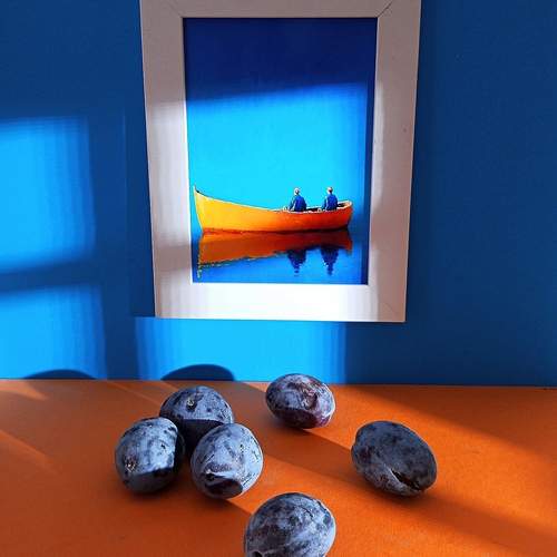 Photo #12810508
