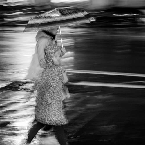 Photo #12810685