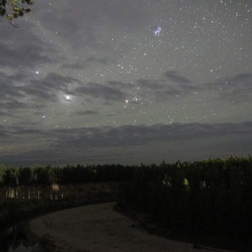 Photo #12811319